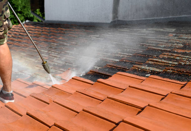 Best Residential Pressure Washing Services  in Lake St Louis, MO